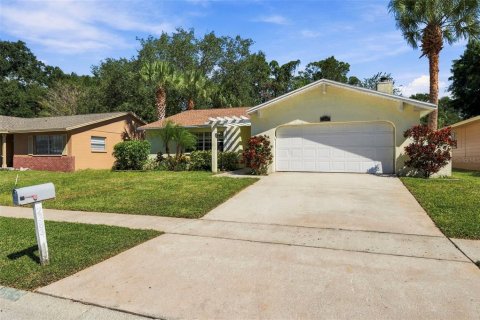 Villa ou maison à vendre à Palm Harbor, Floride: 3 chambres, 129.23 m2 № 2431741 - photo 4