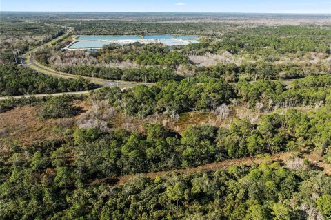 Terreno en venta en Oak Hill, Florida № 1559773 - foto 8