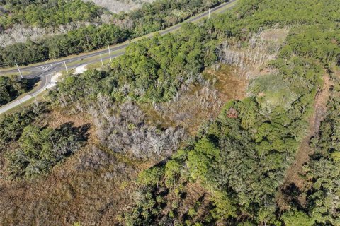 Terreno en venta en Oak Hill, Florida № 1559773 - foto 4