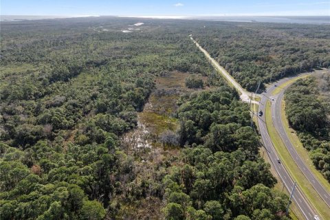 Terreno en venta en Oak Hill, Florida № 1559773 - foto 10
