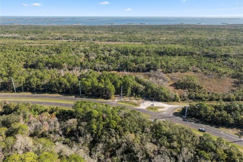 Terreno en venta en Oak Hill, Florida № 1559773 - foto 2