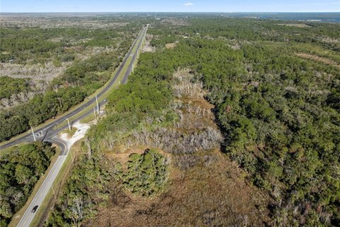 Terreno en venta en Oak Hill, Florida № 1559773 - foto 6