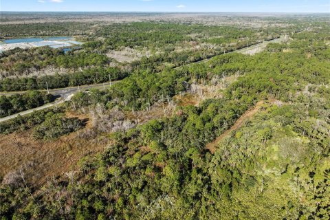 Terreno en venta en Oak Hill, Florida № 1559773 - foto 7
