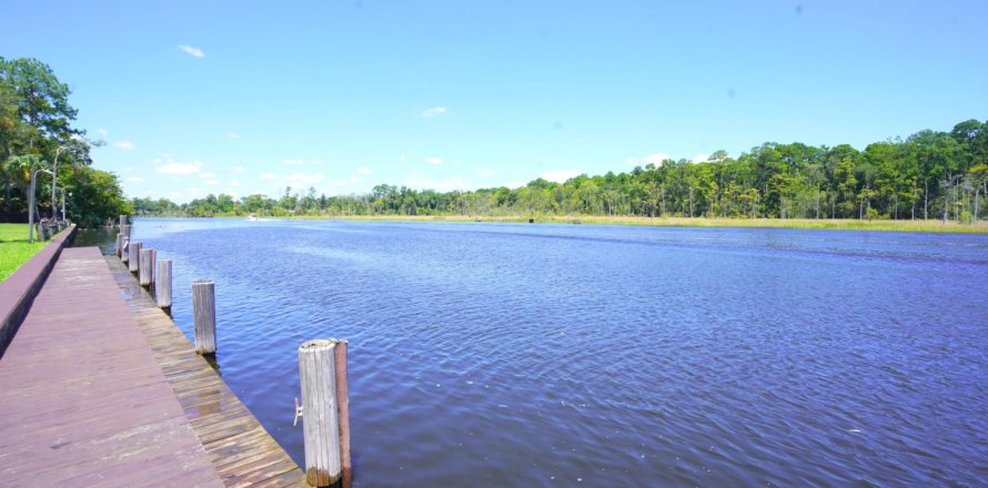 Condo à Jacksonville, Floride, 2 chambres № 868130
