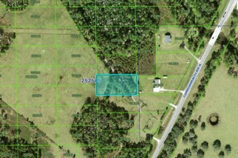 Terrain à Polk City, Floride № 2235296