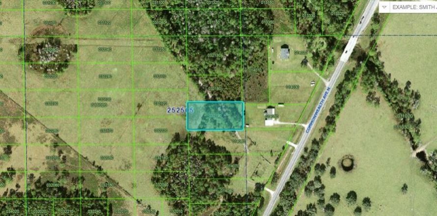Terrain à Polk City, Floride № 2235296
