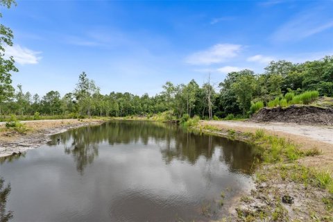 Land in Keystone Heights, Florida № 2226866 - photo 3