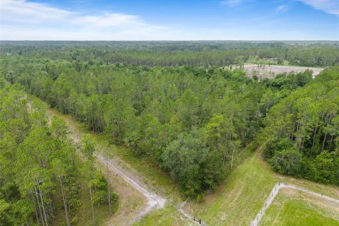 Land in Keystone Heights, Florida № 2226866 - photo 10