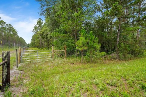 Land in Keystone Heights, Florida № 2226866 - photo 9