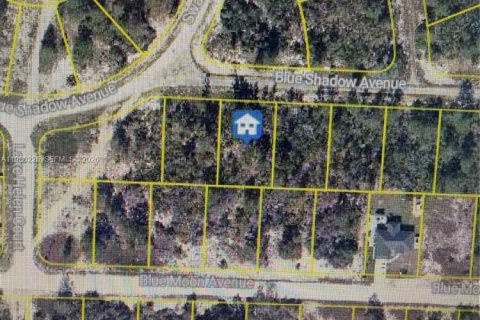 Immobilier commercial à Lake Placid, Floride № 2158597