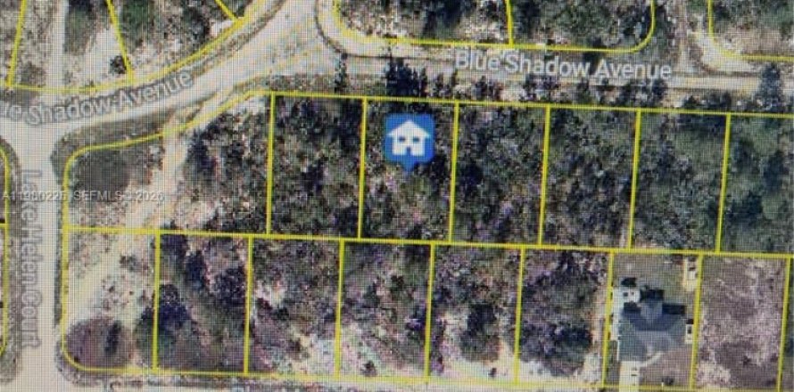 Commercial property in Lake Placid, Florida № 2158597