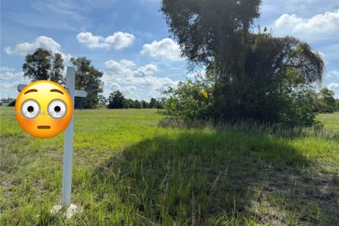Commercial property in Cape Coral, Florida № 2158375 - photo 2
