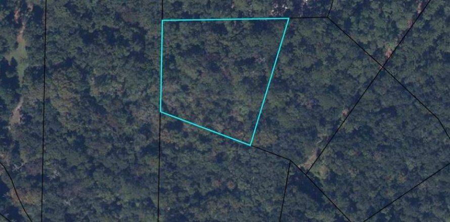 Terrain à Middleburg, Floride № 1856480