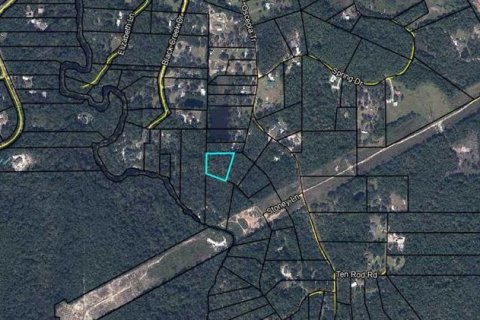 Купить земельный участок в Миддлберг, Флорида № 1856480 - фото 2