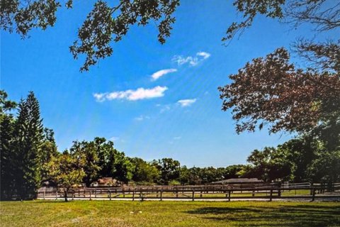 Land in Tampa, Florida № 2104194 - photo 4