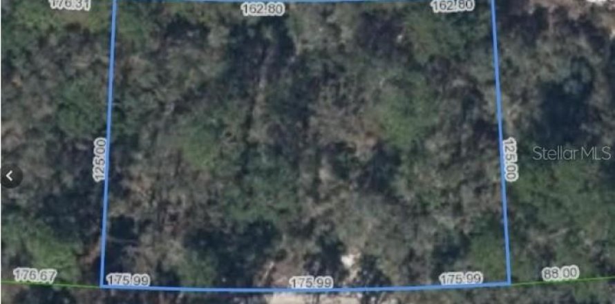 Terrain à Lake Placid, Floride № 2237089