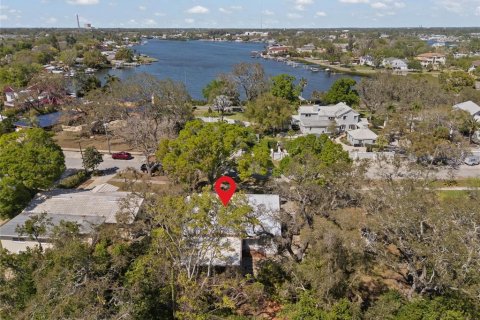 Villa ou maison à vendre à Tarpon Springs, Floride: 2 chambres, 147.9 m2 № 2139380 - photo 30