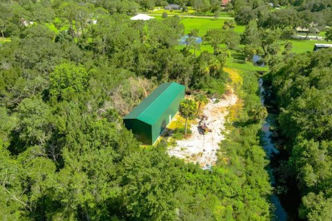 Land in Mims, Florida № 1757320 - photo 24