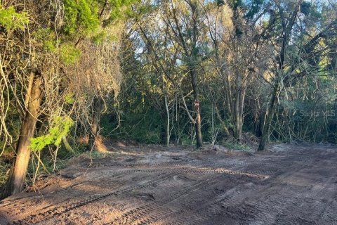 Land in Mims, Florida № 1757320 - photo 6