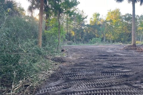 Land in Mims, Florida № 1757320 - photo 9