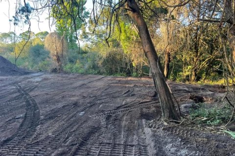 Land in Mims, Florida № 1757320 - photo 7
