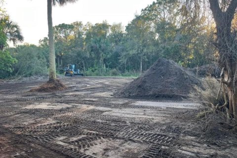 Land in Mims, Florida № 1757320 - photo 4