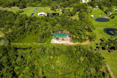 Land in Mims, Florida № 1757320 - photo 19