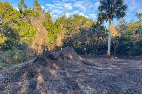 Land in Mims, Florida № 1757320 - photo 2