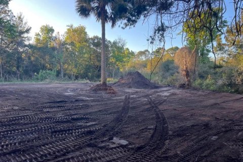 Land in Mims, Florida № 1757320 - photo 8