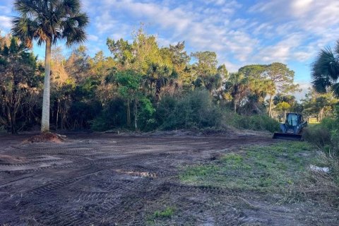 Land in Mims, Florida № 1757320 - photo 3