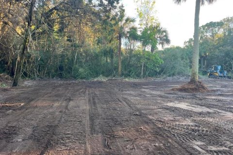 Land in Mims, Florida № 1757320 - photo 5