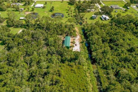 Land in Mims, Florida № 1757320 - photo 20