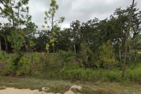 Land in Williston, Florida № 2161139 - photo 2