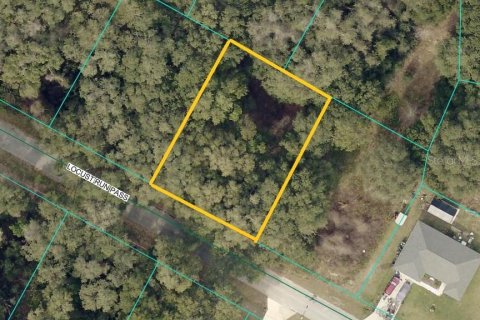 Land in Ocala, Florida № 2166082