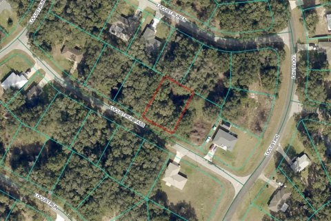 Land in Ocala, Florida № 2166082 - photo 2