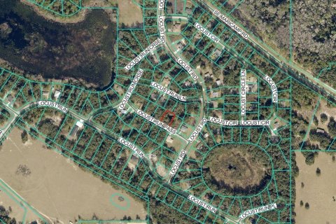 Land in Ocala, Florida № 2166082 - photo 4