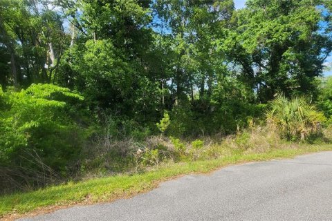 Terrain à vendre à Ocala, Floride № 2165063 - photo 6