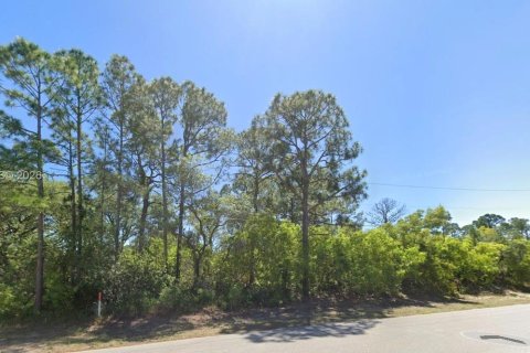 Land in Lake Placid, Florida № 2158608 - photo 2