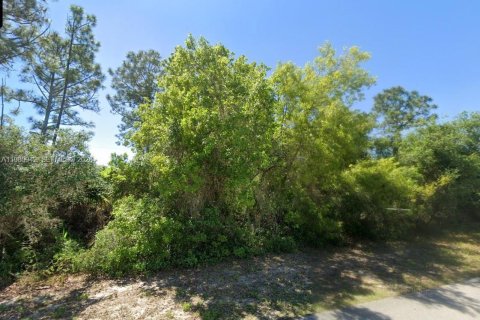 Land in Lake Placid, Florida № 2158608 - photo 9