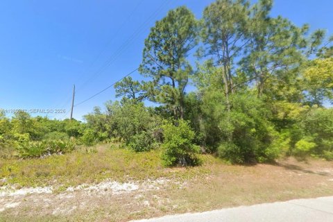Land in Lake Placid, Florida № 2158608