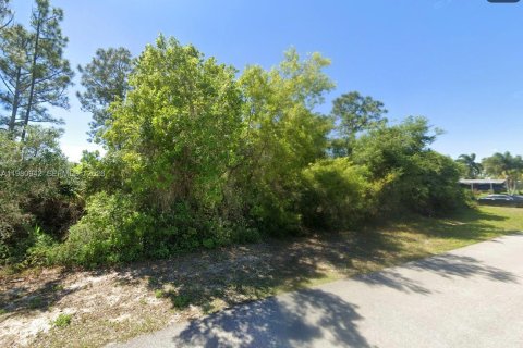Land in Lake Placid, Florida № 2158608 - photo 7