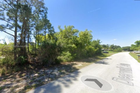 Land in Lake Placid, Florida № 2158608 - photo 8