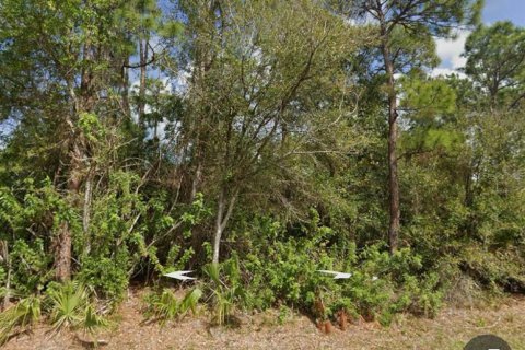 Land in Punta Gorda, Florida № 2163302 - photo 2