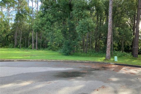 Terreno en venta en Eustis, Florida № 1877046 - foto 1