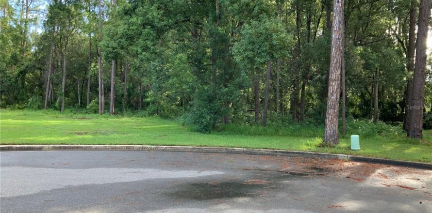 Land in Eustis, Florida № 1877046