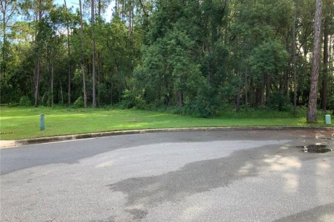 Terreno en venta en Eustis, Florida № 1877046 - foto 2
