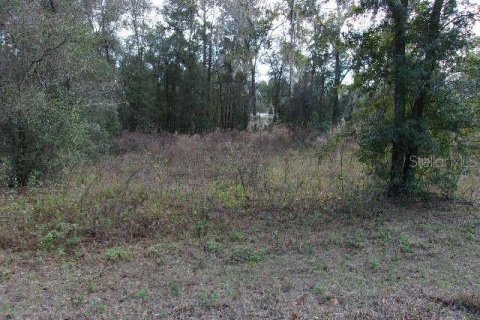 Land in Inverness, Florida № 2223925