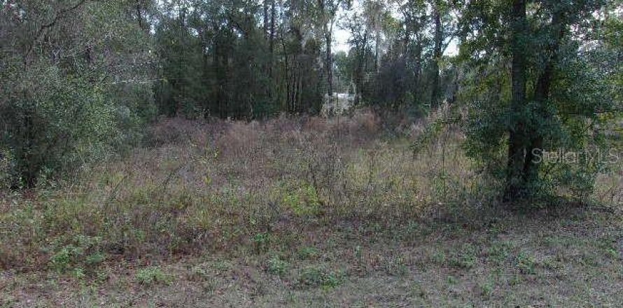Land in Inverness, Florida № 2223925