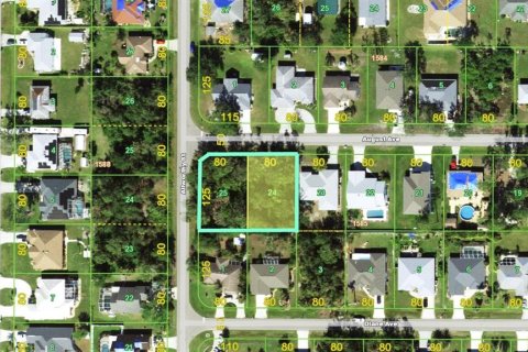 Land in Port Charlotte, Florida № 2105965