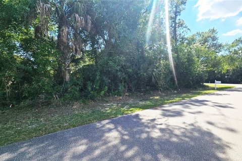 Land in Port Charlotte, Florida № 2105965 - photo 2